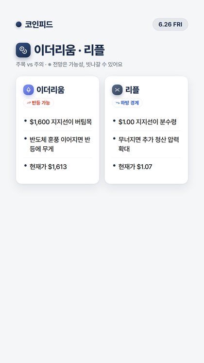코인피드