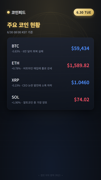 코인피드