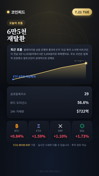코인피드