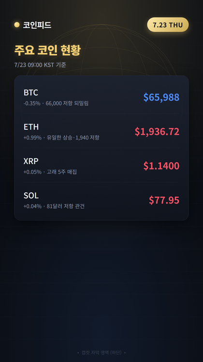 코인피드