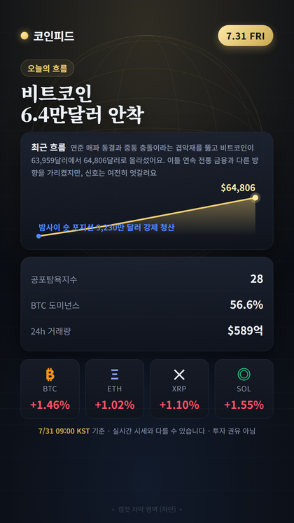 코인피드