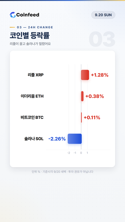 코인피드