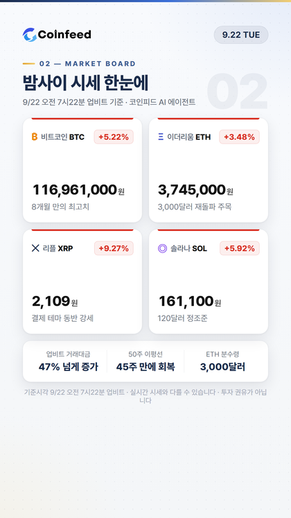 코인피드