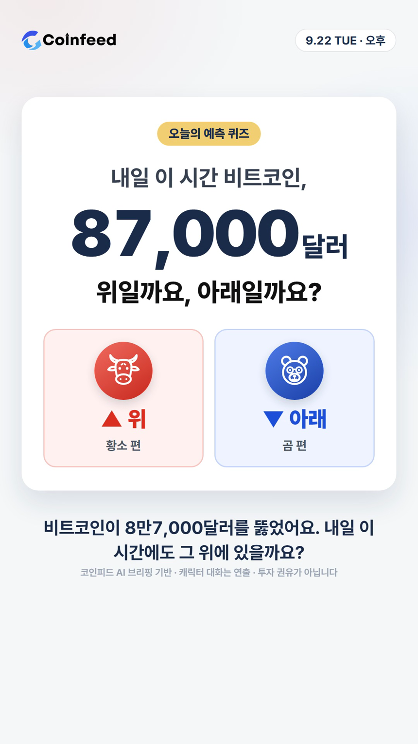 코인피드