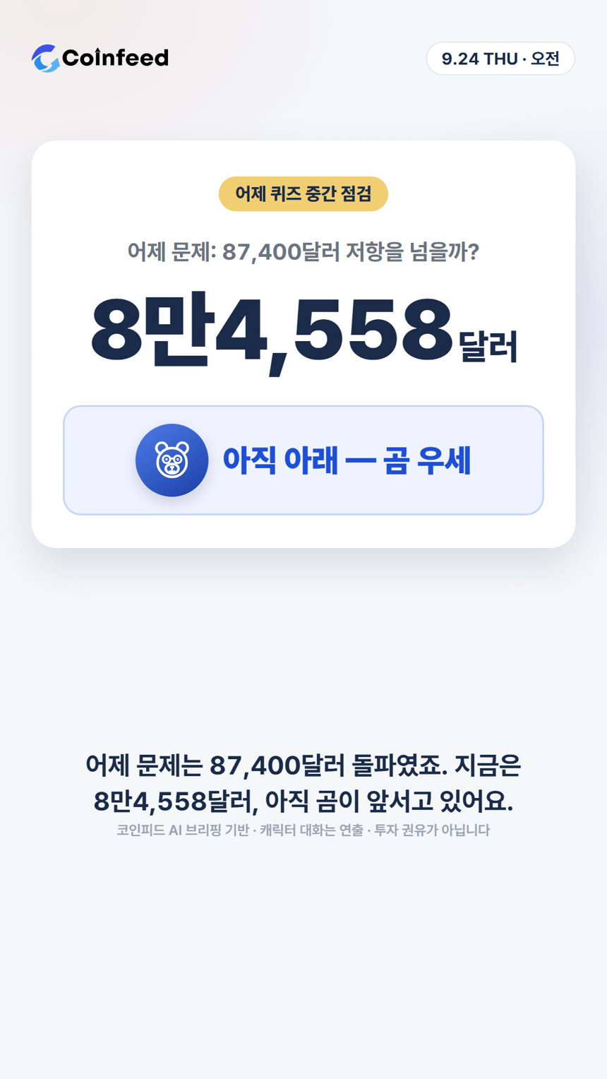 코인피드