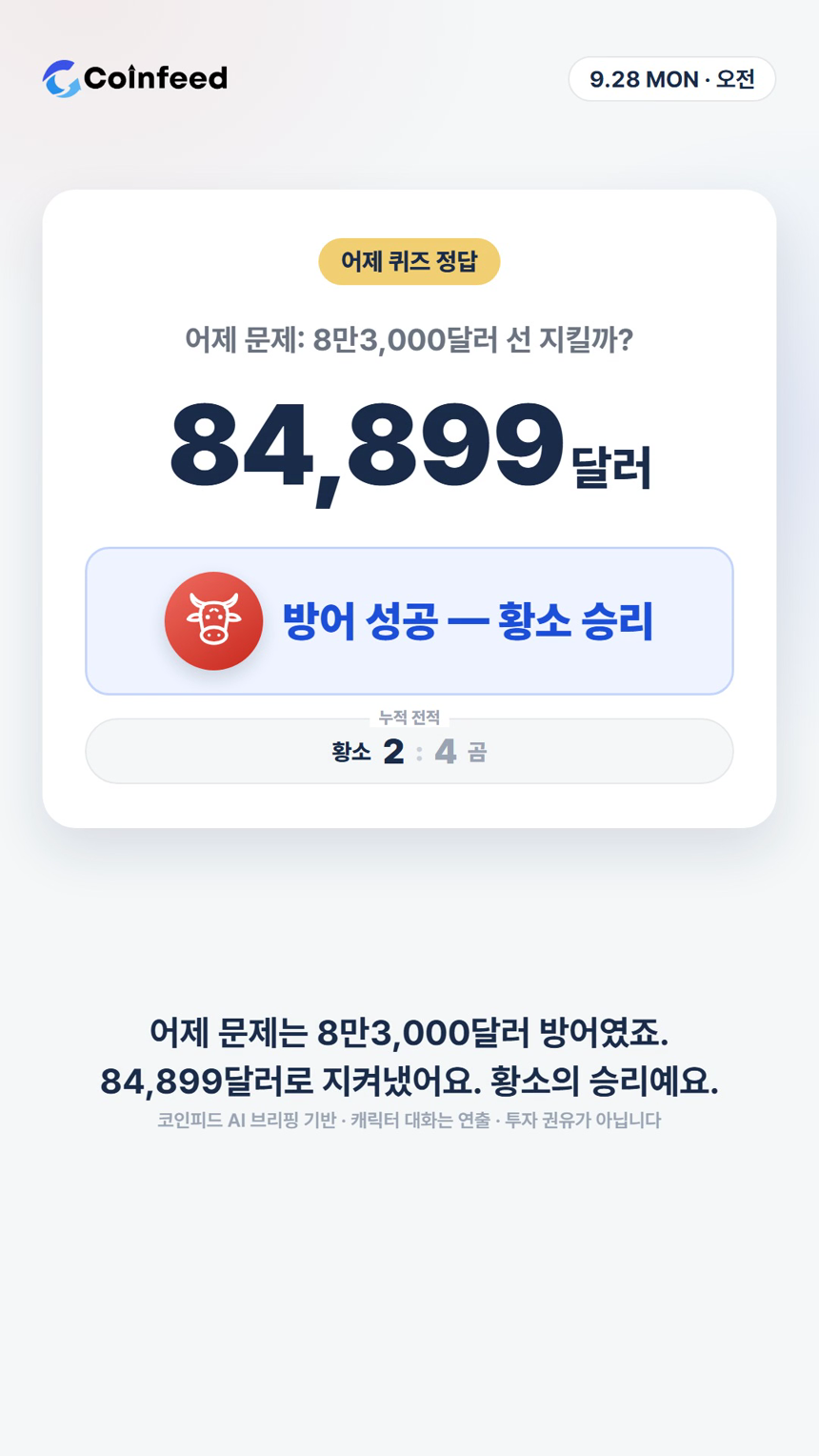 코인피드
