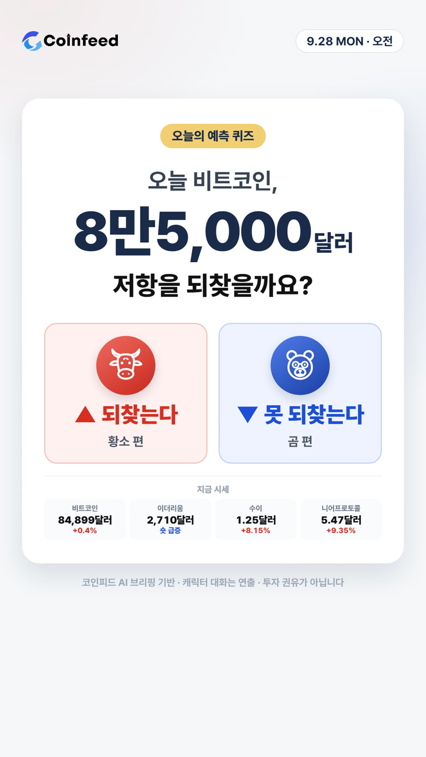 코인피드
