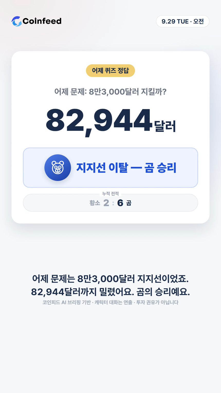 코인피드