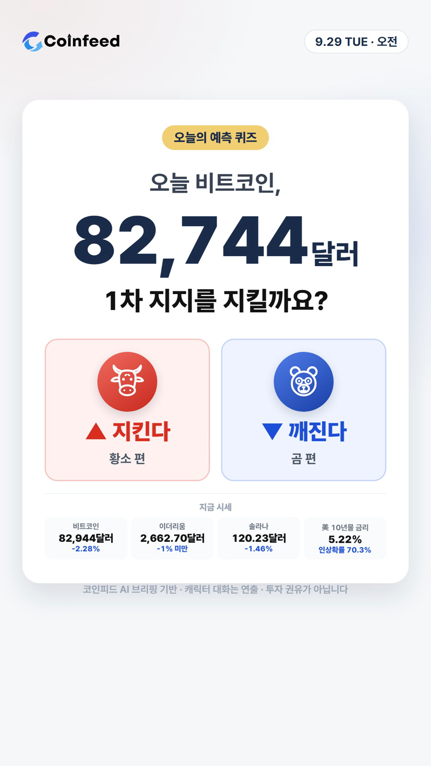코인피드
