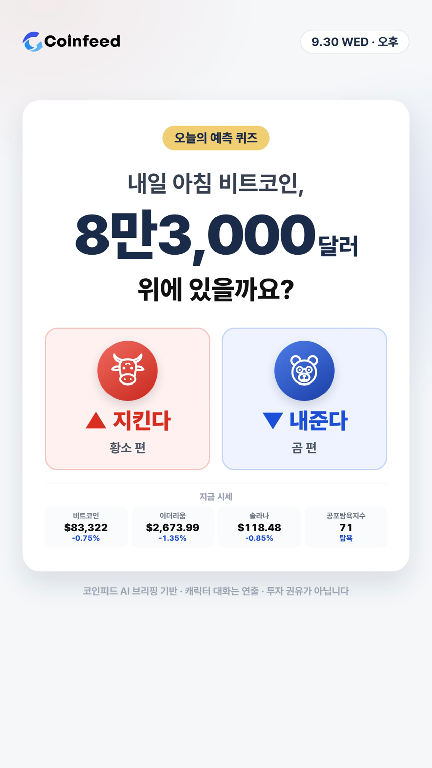 코인피드
