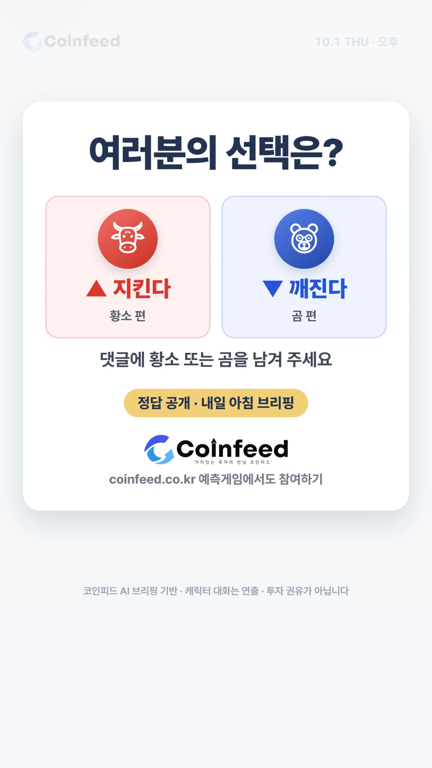 코인피드