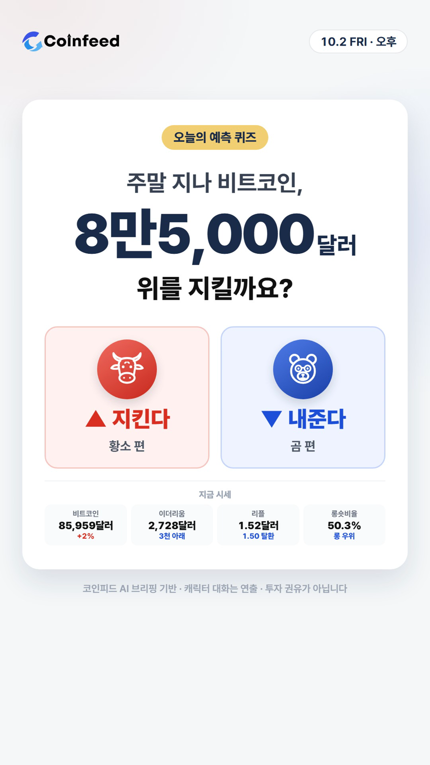 코인피드