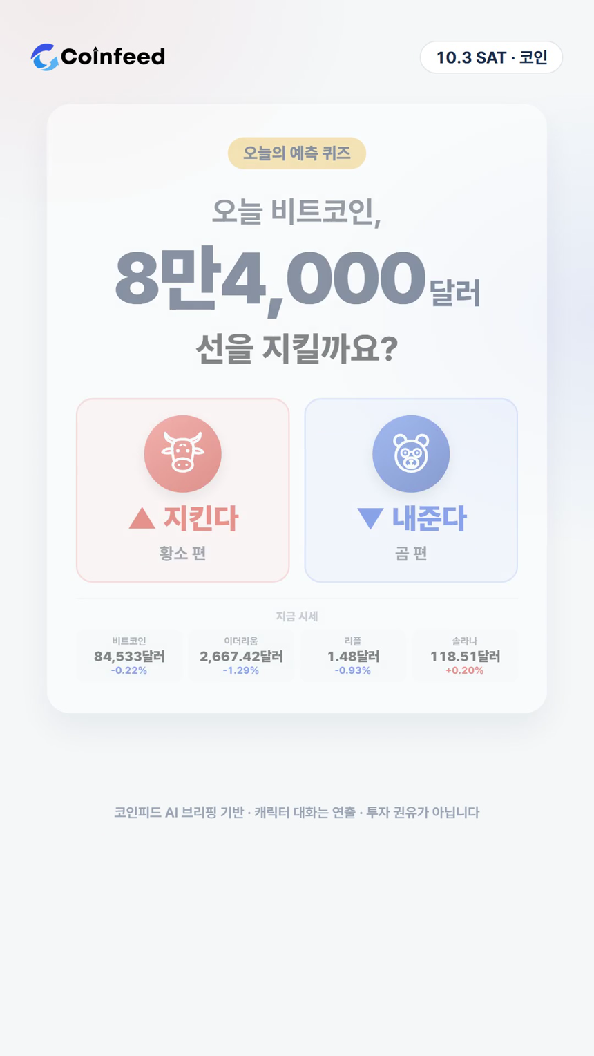 코인피드
