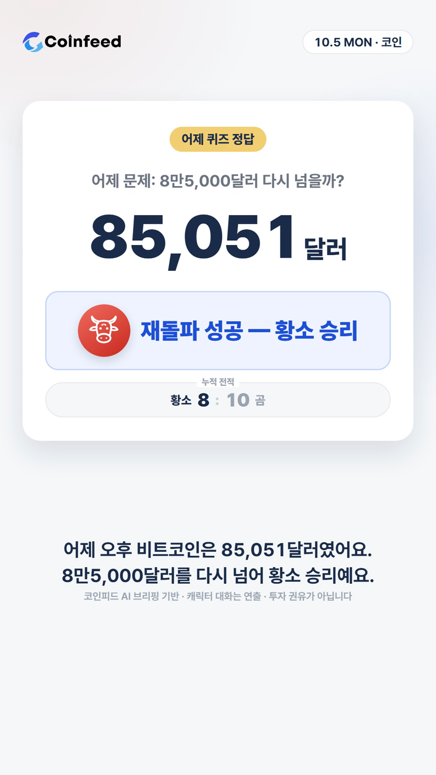 코인피드