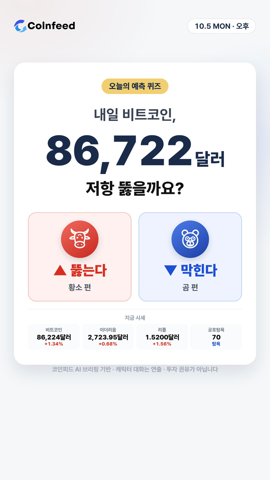코인피드