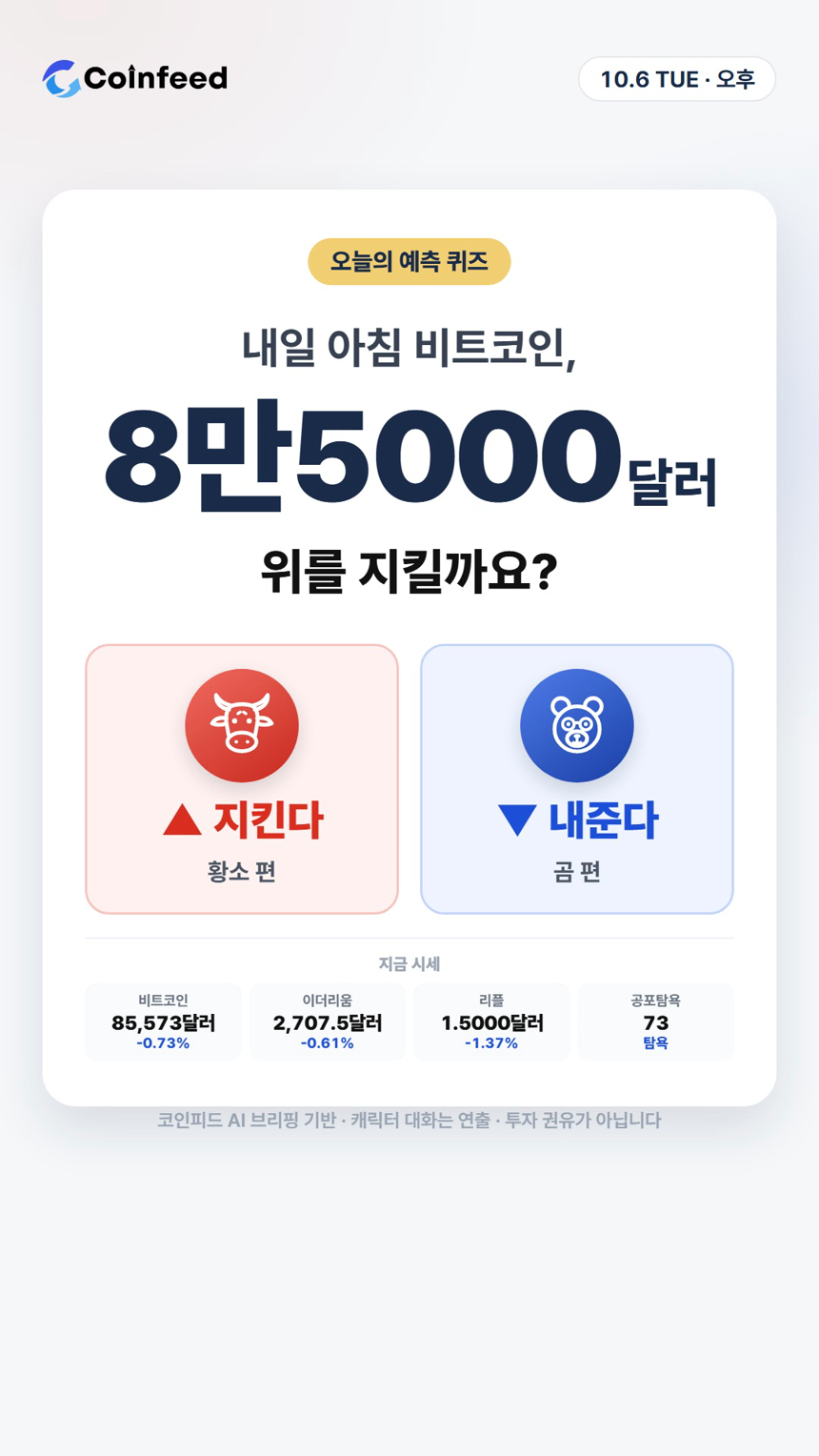 코인피드