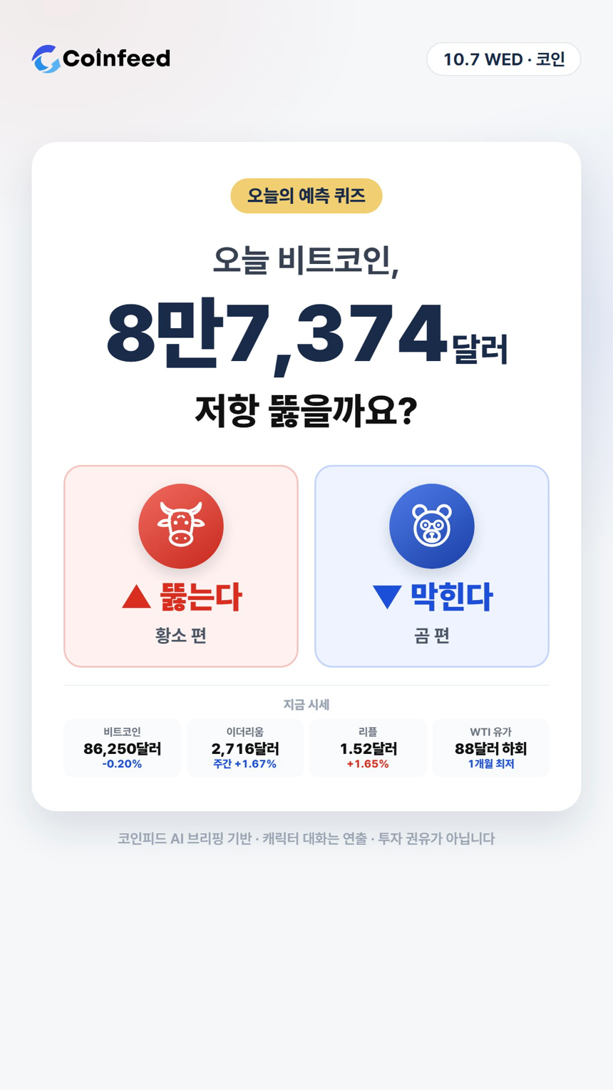 코인피드