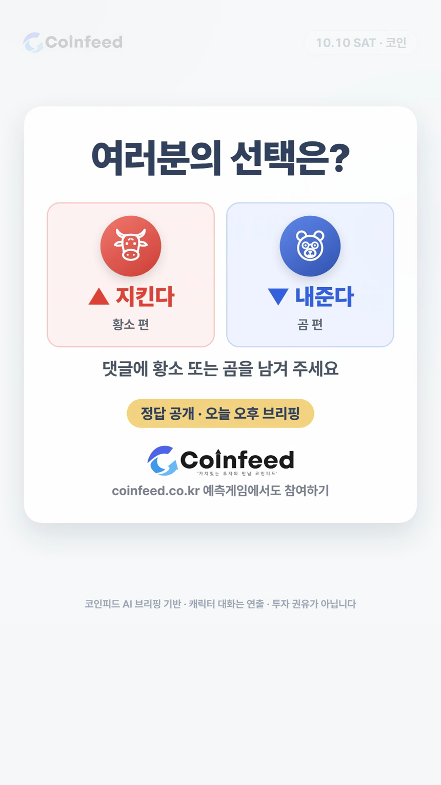코인피드