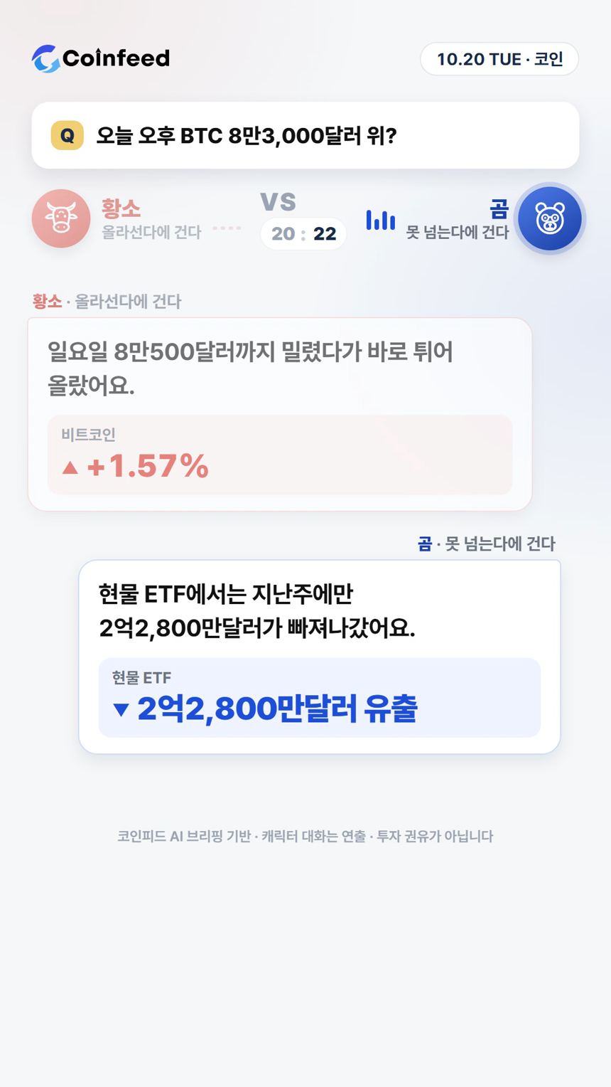 코인피드