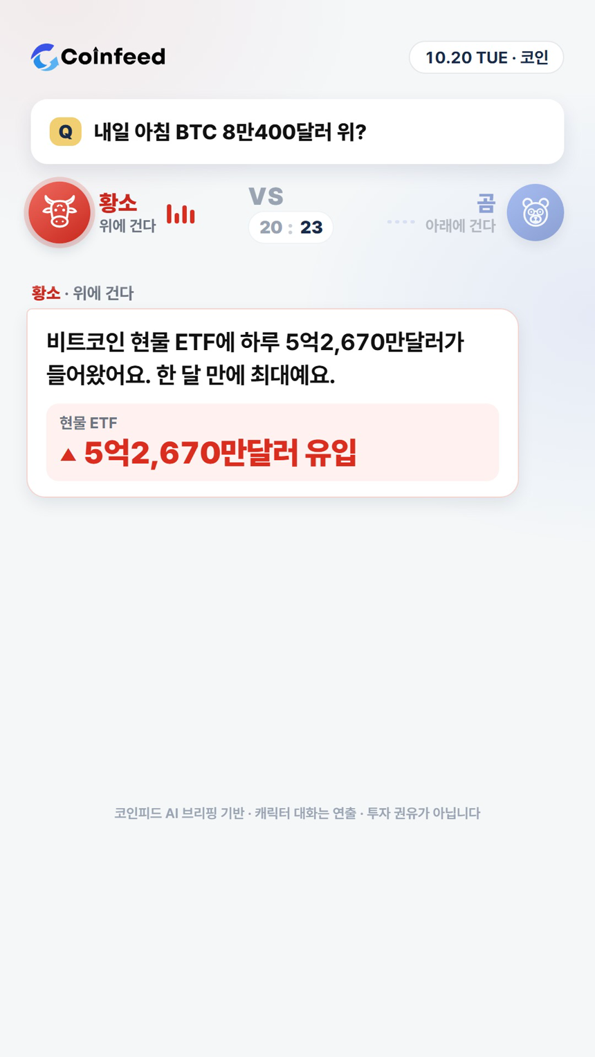 코인피드