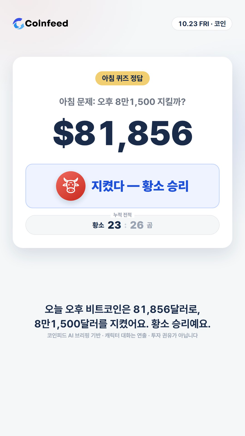 코인피드