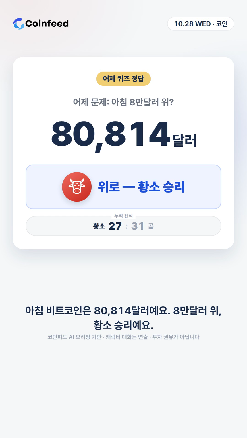 코인피드