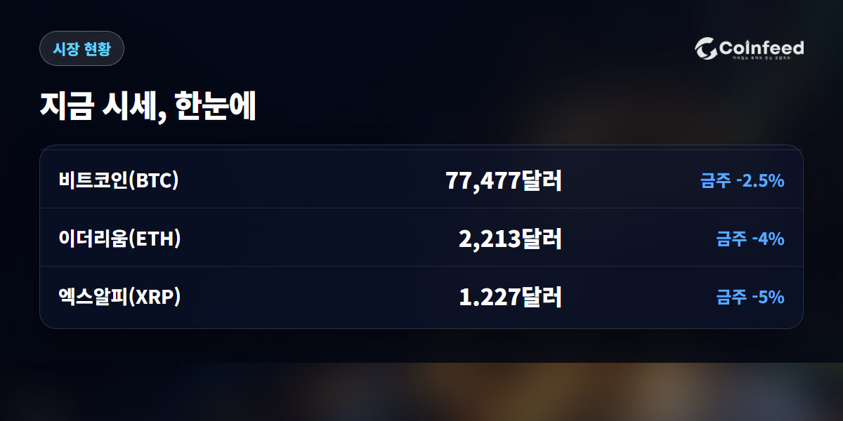 코인피드