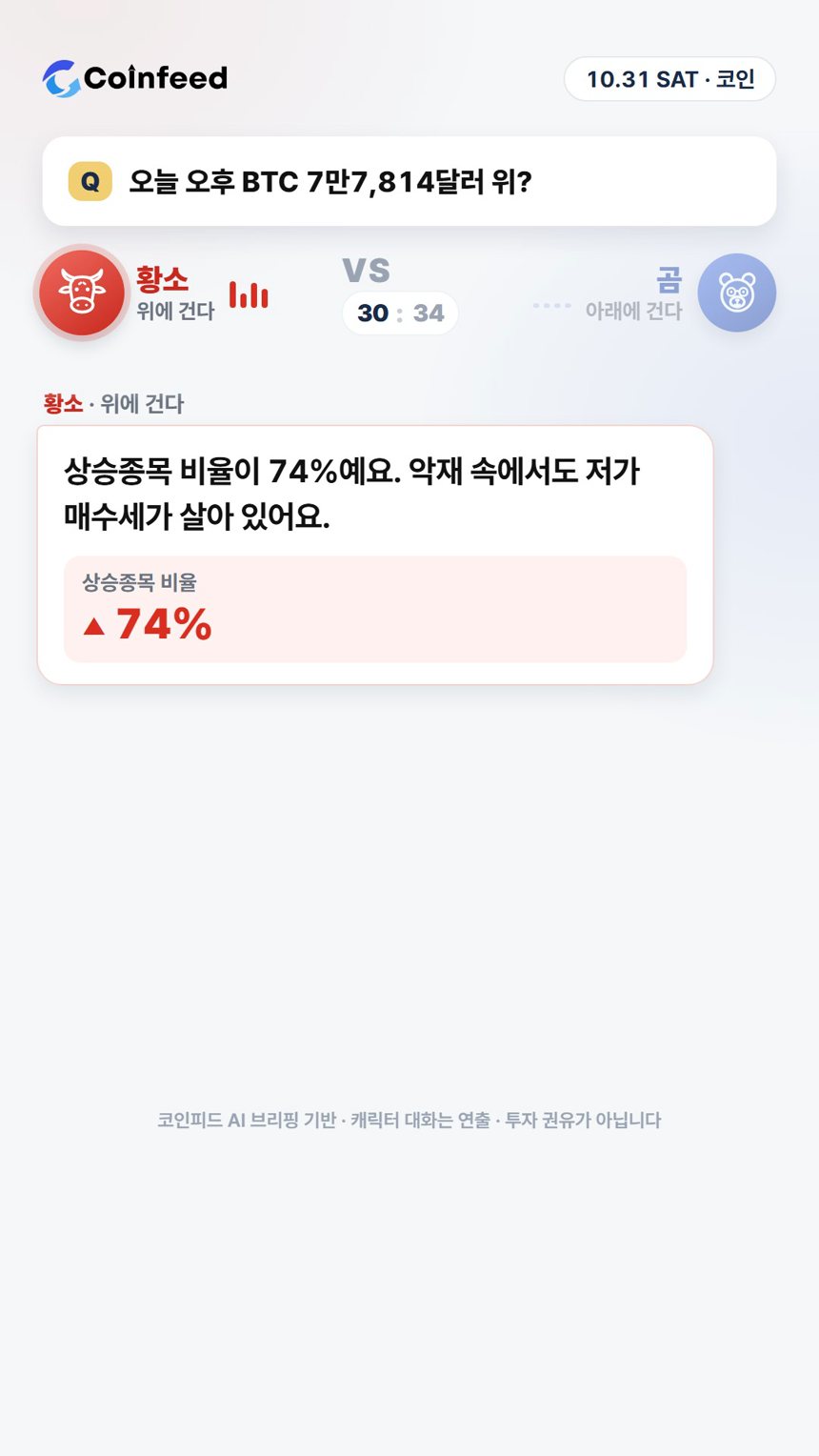 코인피드