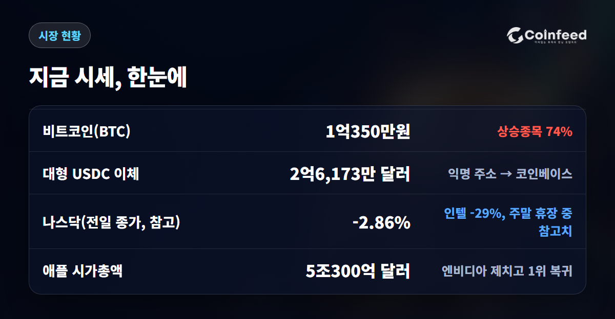 코인피드